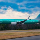 Green BBJ Max 8